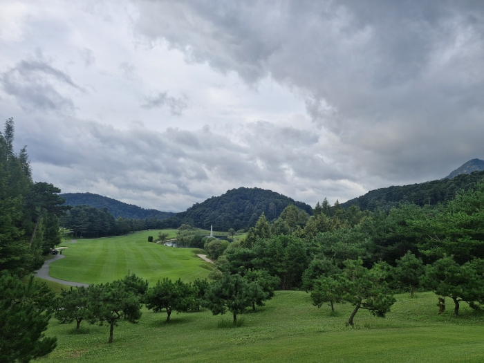 [����] �̿��ı�