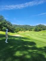 ���￡�� �� �հ� ������ ������ �ߵ� ������