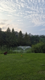 �ı⿡�� ���� ���� �ʾƼ�
���� ��� �߾�