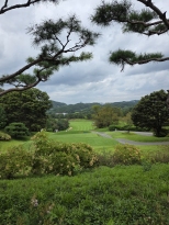 ��ü������ �����մϴ�.
������ ��������&