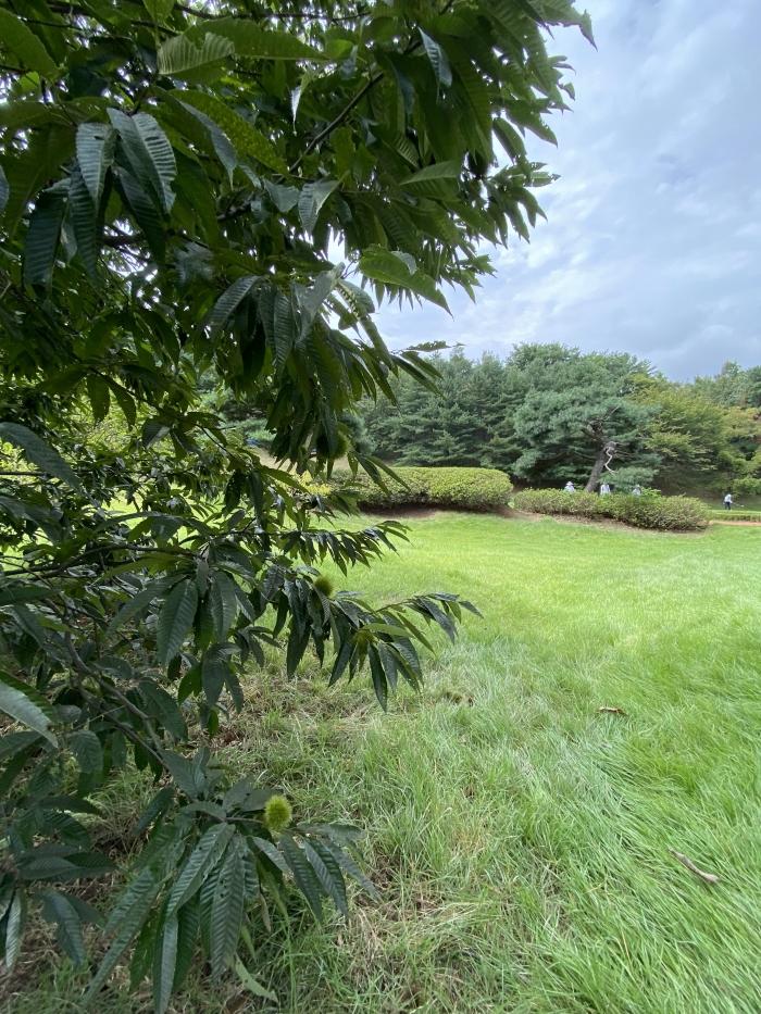 [����] �̿��ı�