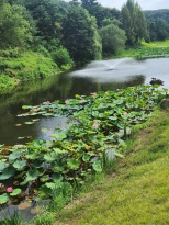 ĳ�� ���� �ְ�, �ڽ� �ܵ� ������