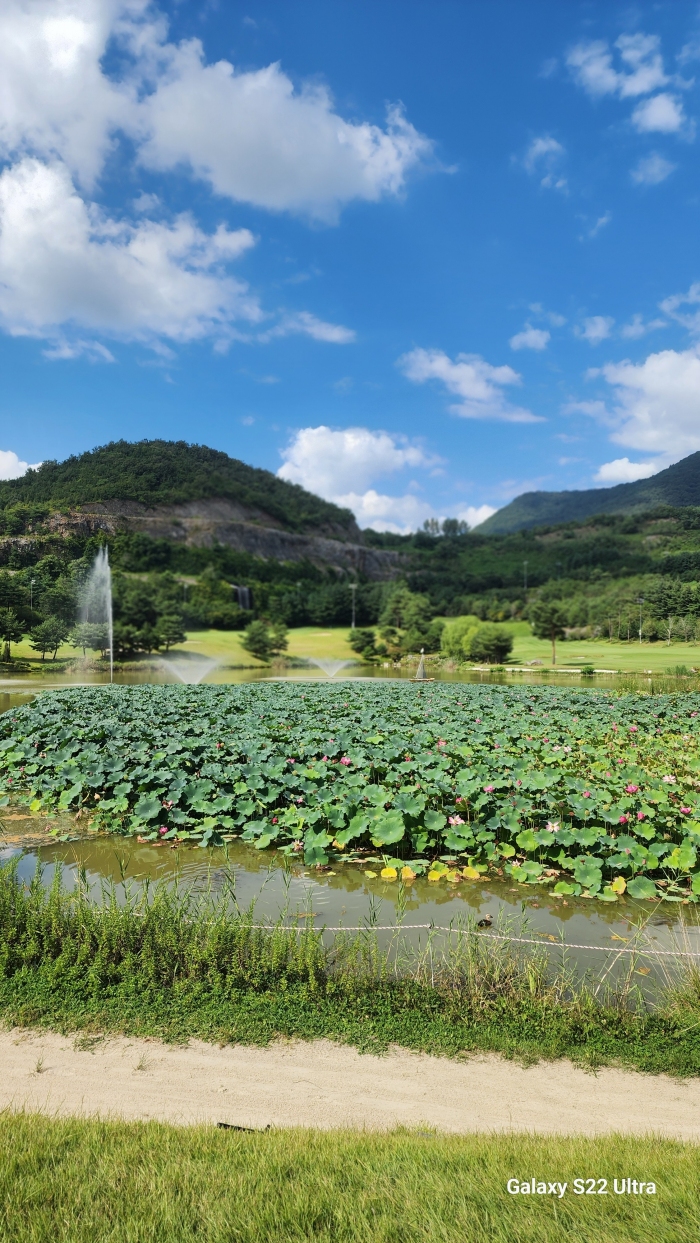 [��ȣ�ܾ�] �̿��ı�