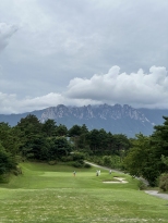 ��ü������ �����ߵǰ� �����մϴ�
��湮�ǻ�