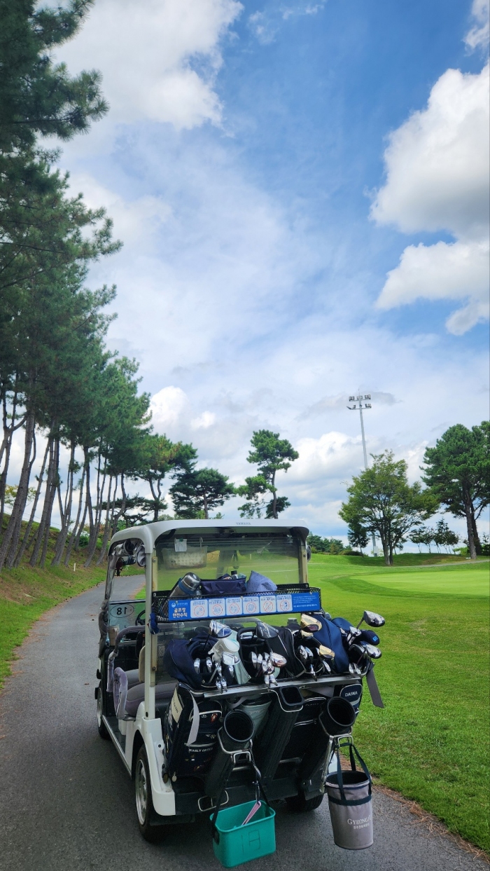 [����] �̿��ı�