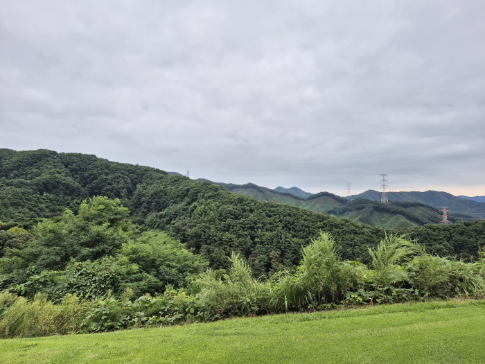 [�ȼ����׽�Ʈ] �̿��ı�