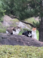 ���̵��� �ֽ��ϴ�. ���ڽ��� �а� ��� ����