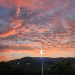 �� ���� ������� �׸�����  ��ĳ�� ������ 