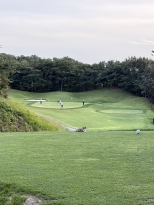 �׸� �����̻��� ���ƿ� ª�� �����ε��ڽ���