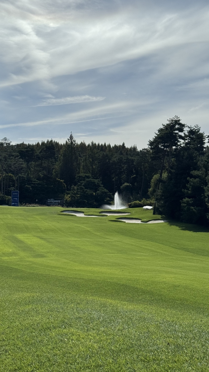 [�����췱] �̿��ı�