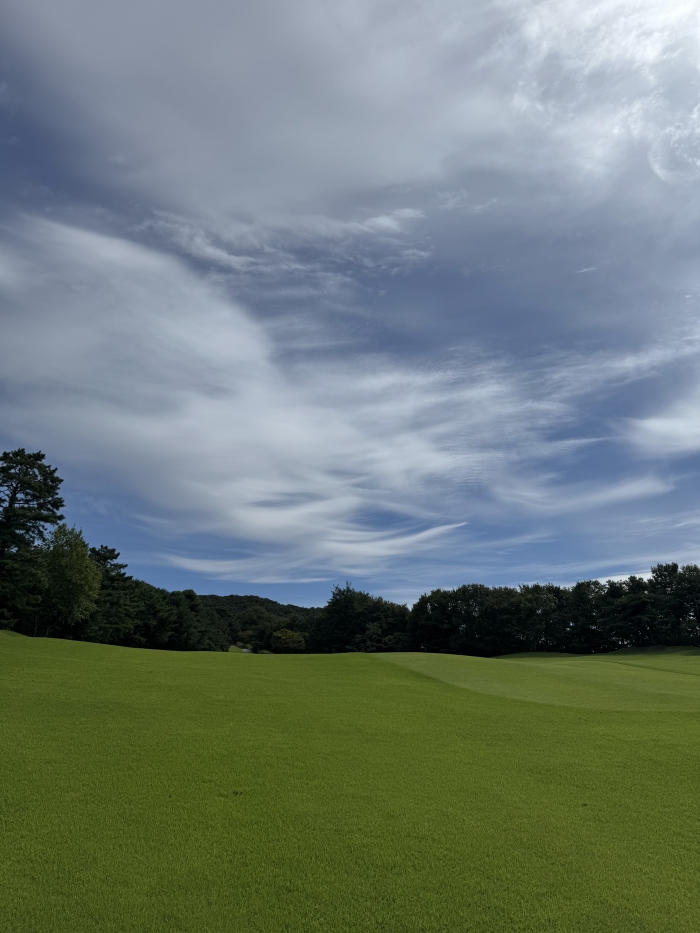 [����] �̿��ı�