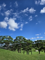 �ڽ��� �ʹ��̻ڰ� �پ��� ���̾ƿ��� ���� ��