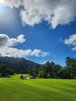 ���ݵ� ������, �����̸� ���� �Ƹ���