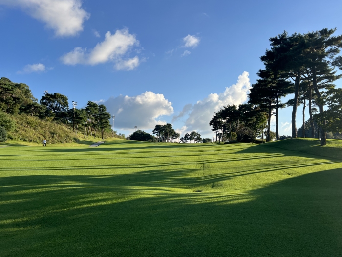 [�ȼ����׽�Ʈ] �̿��ı�