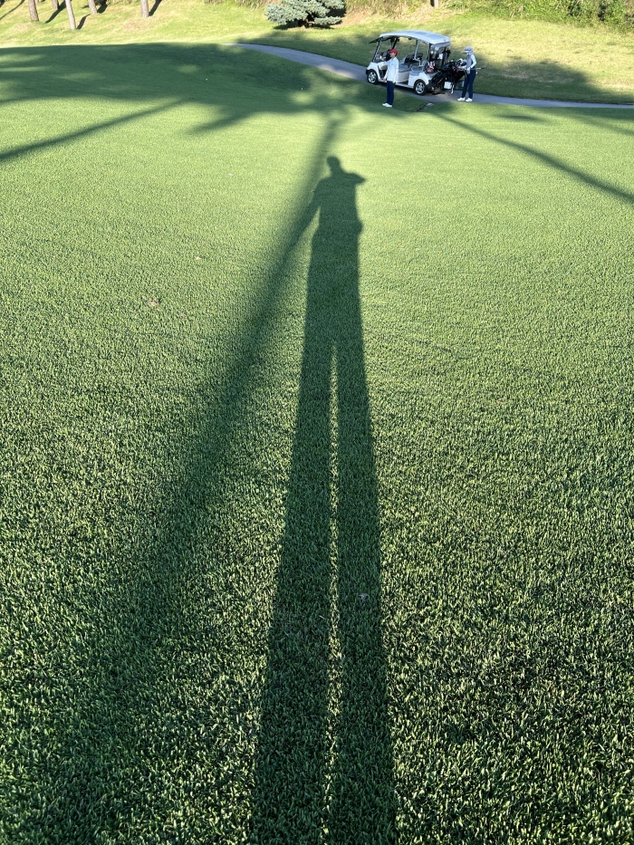 [�ȼ����׽�Ʈ] �̿��ı�