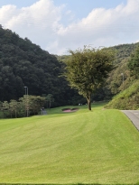 �������� ��ȸ�ڽ���� ���� ���� �� �ǰ� ��