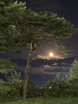 ���� ȸ���� ������ ǳ��
�õ��� ���� ����