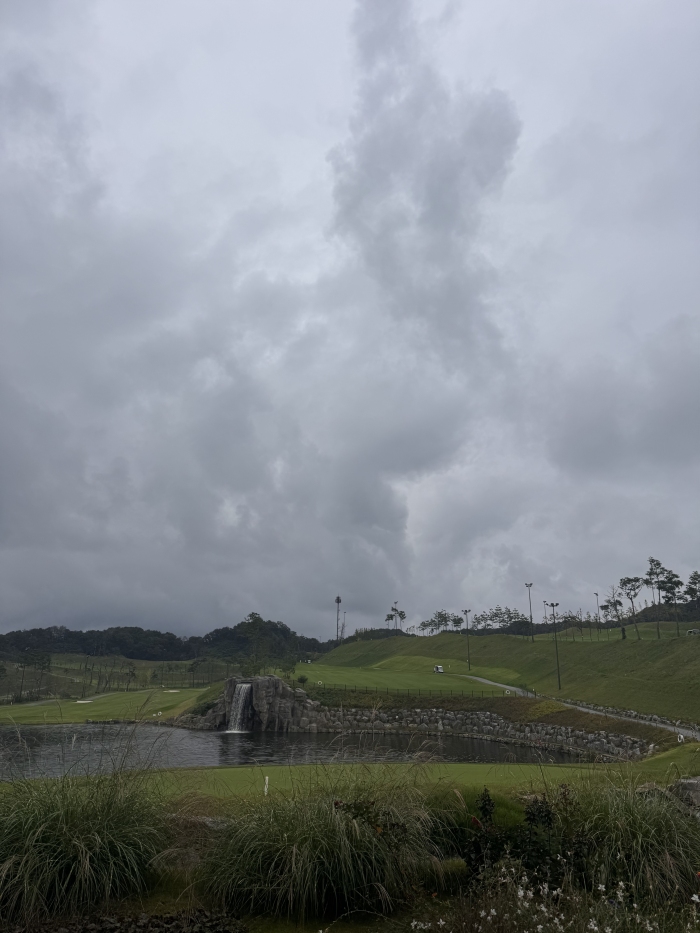 [����������] �̿��ı�