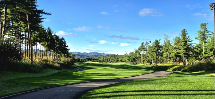 [��������] �̿��ı�