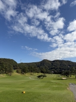 �� �����̶� �׸� ������ �� �Ǹ��Դϴ�..