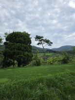 ������ ���ݿ� ��ſ� ���� �ϰ��Խ��ϴ�..