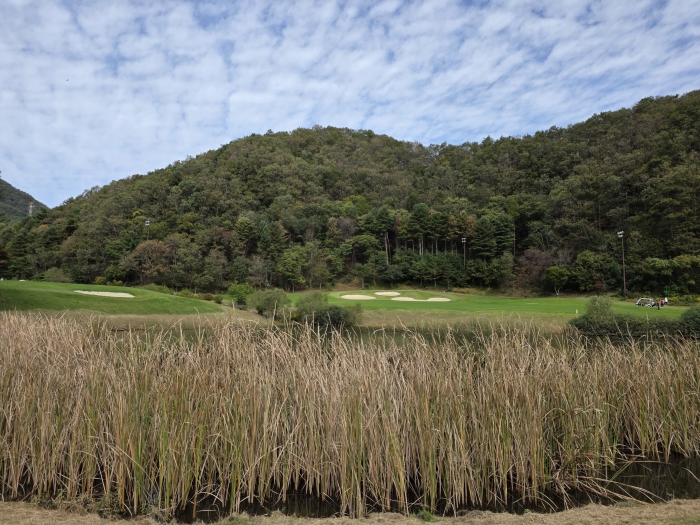 [���ε���] �̿��ı�