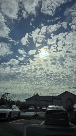 �����������Դϴ� �ڽ� ����ǵ� ������ �Ǹ���