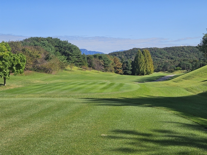 [��õ�Ƶ��Ͻ�] �̿��ı�