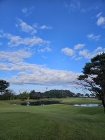 �ڽ����� �̻ڰ� ������ �׸� ��� �� ����