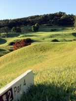 �ڽ��� �ʹ� �̻���. 
�ܵ� ���� �ʹ� ��