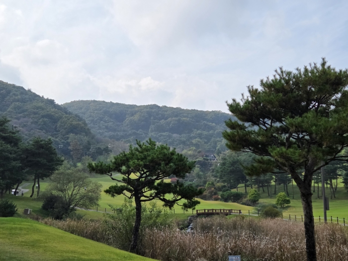 [����븮] �̿��ı�