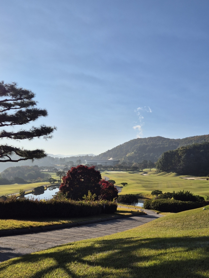 [��õ�Ƶ��Ͻ�] �̿��ı�