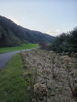 ���������� �� ������ ���̵� �ִ� �ڽ���
