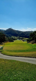 �д翡�� ���⿡ �հŸ��� ������ �ڽ������� 