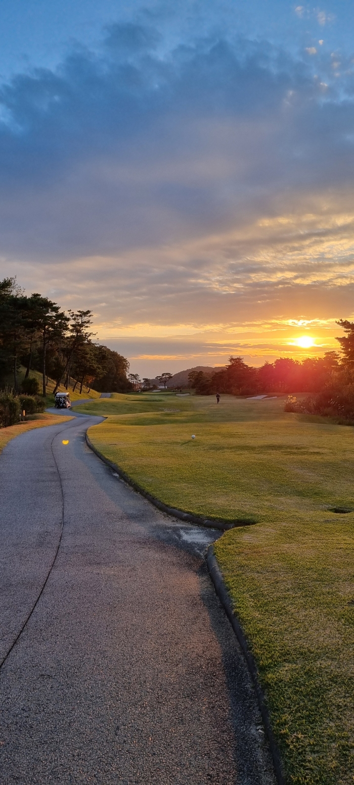 [�ڽ�ī] �̿��ı�