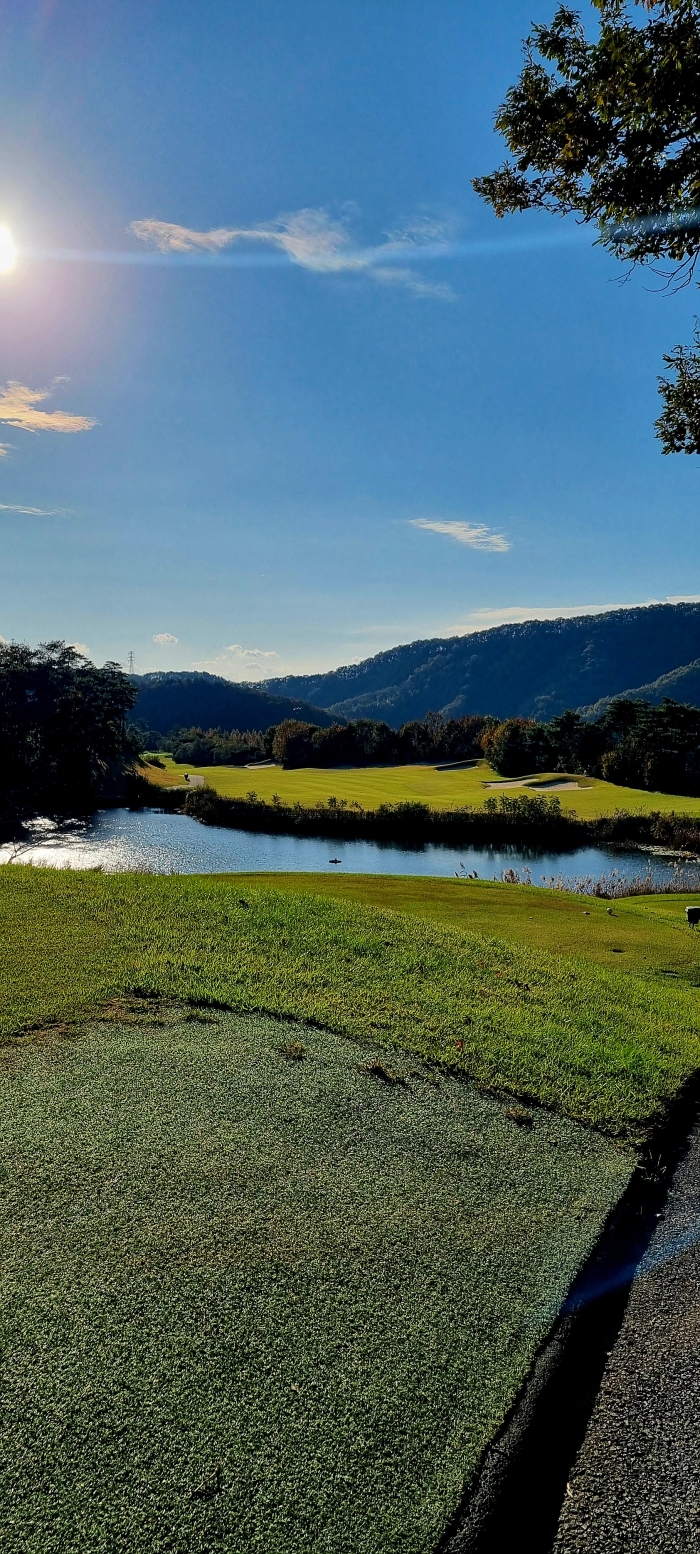 [�ڽ�ī] �̿��ı�