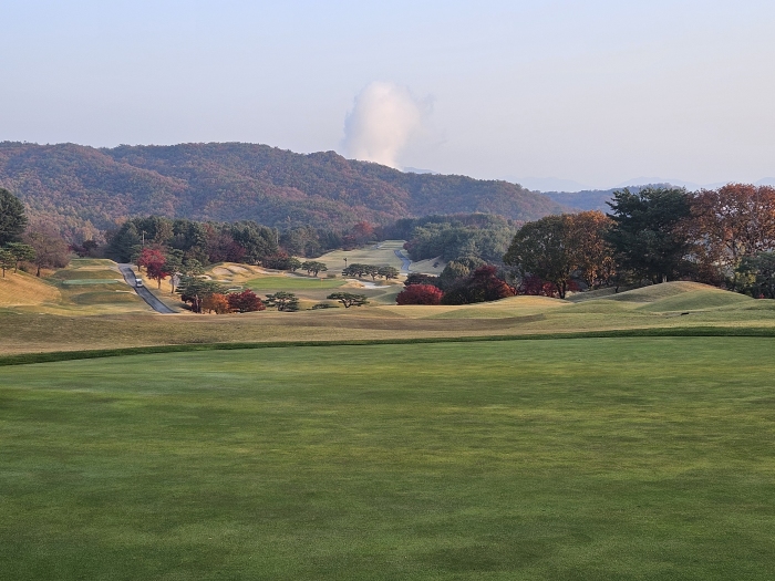 [��õ�Ƶ��Ͻ�] �̿��ı�