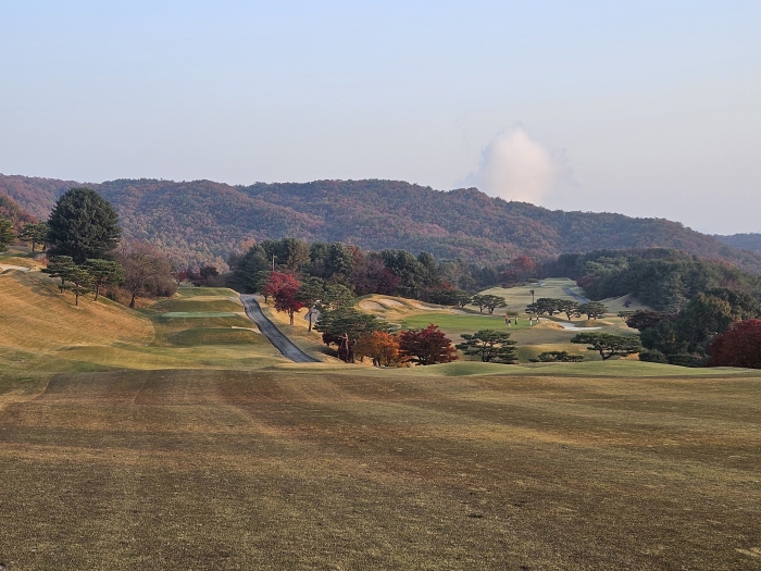 [��õ�Ƶ��Ͻ�] �̿��ı�