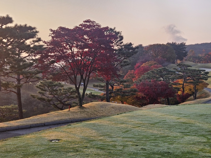 [��õ�Ƶ��Ͻ�] �̿��ı�