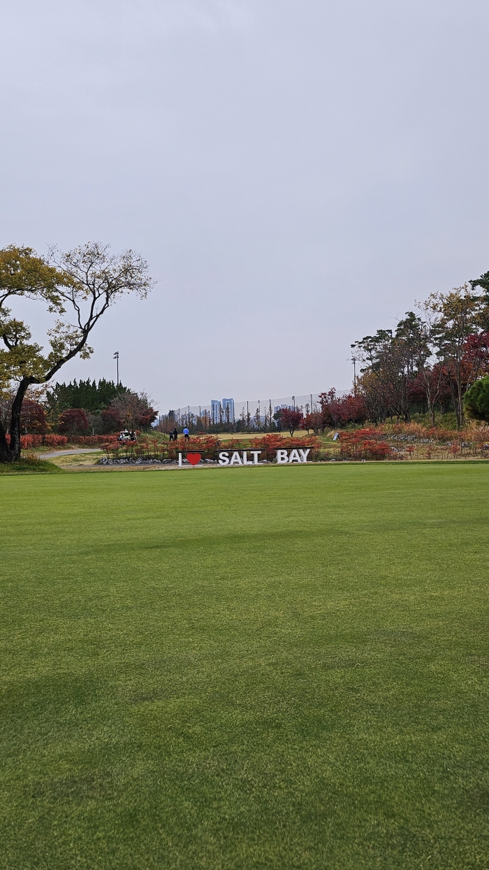 [��Ʈ����] �̿��ı�