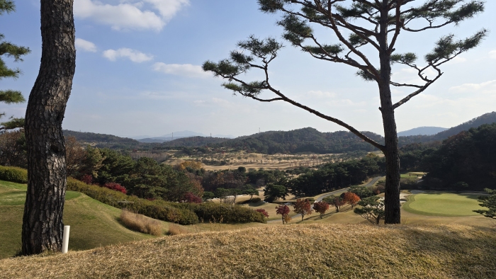 [��õ�Ƶ��Ͻ�] �̿��ı�