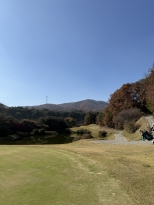 �� Ȧ�� ��ƮƼ�� �Ф� �׸������� �״��̾���