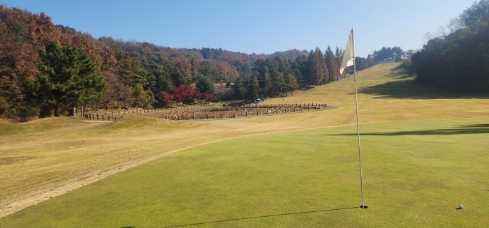 [�׷���(û��)] �̿��ı�