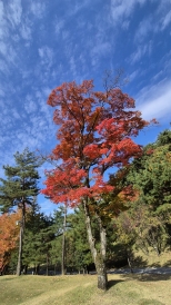 ��ǳö�� ���� ����cc�� ������cc�� ǳ����