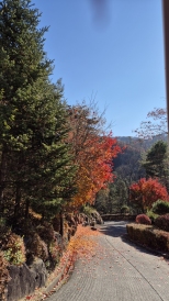 �õ�� ���� �߿ �ܴ��� �����ϰ� ������ 