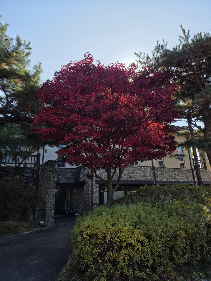 [����TPC] �̿��ı�