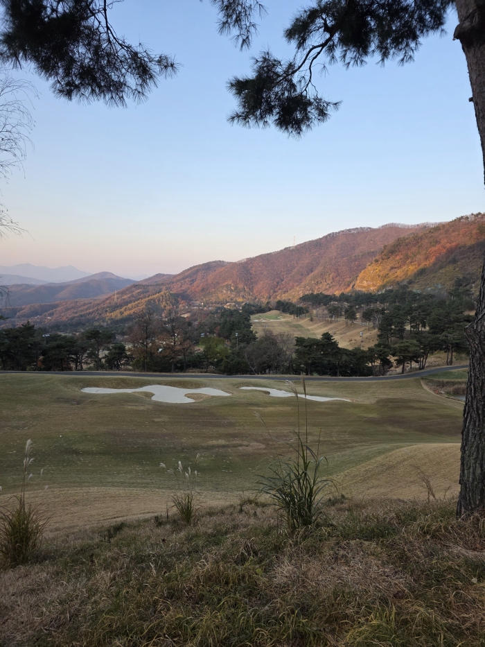 [����TPC] �̿��ı�