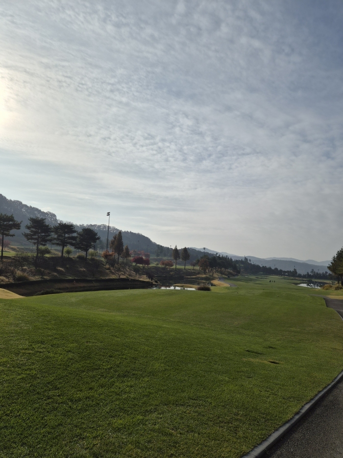 [��������] �̿��ı�