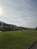 ��ȸ �����Ķ�  �׸��� �ʹ� ��Ʊ��ߴµ� ��