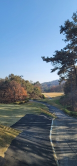 �׸����� ����, ĳ�� ģ���ϰ� ������